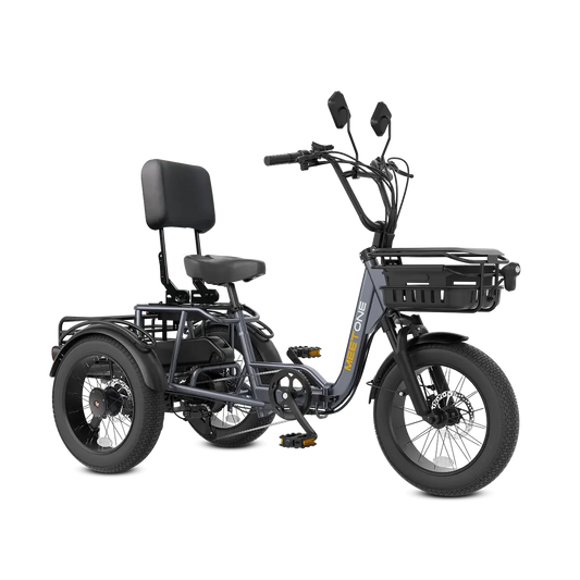 Meet One Breeze Pro 48V 20Ah LG Battery Fat Tire Folding Electric Trike
