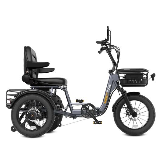 Meet One Breeze Pro 48V 20Ah Fat Tire Electric Trike