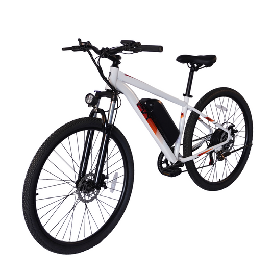 PVY M29 Mountain bike