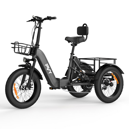 PVY F20 Electric Cargo Trike