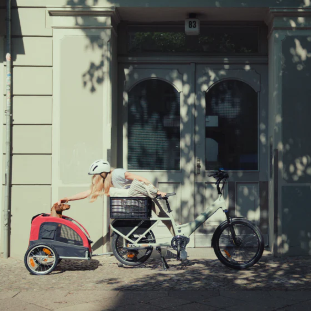 Electric Cargo Bikes