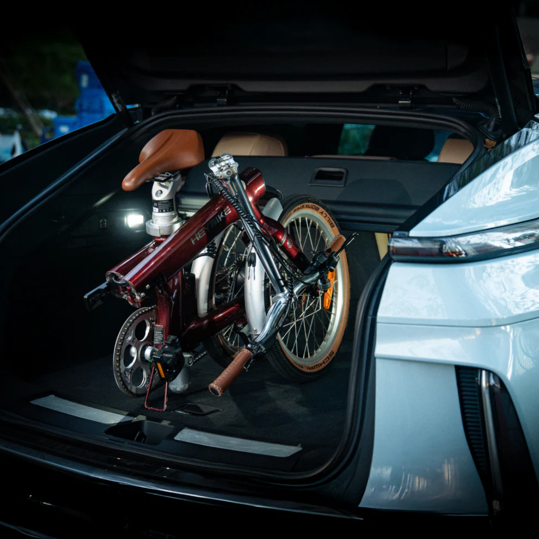 Electric Folding Bikes