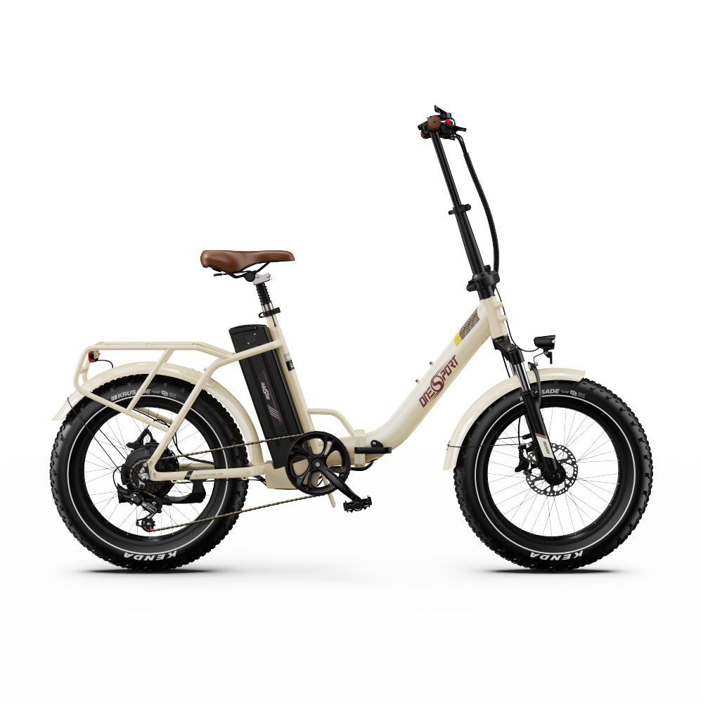 Step-Thru Bikes