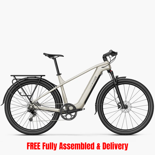 Fiido Nomads Touring E-bike