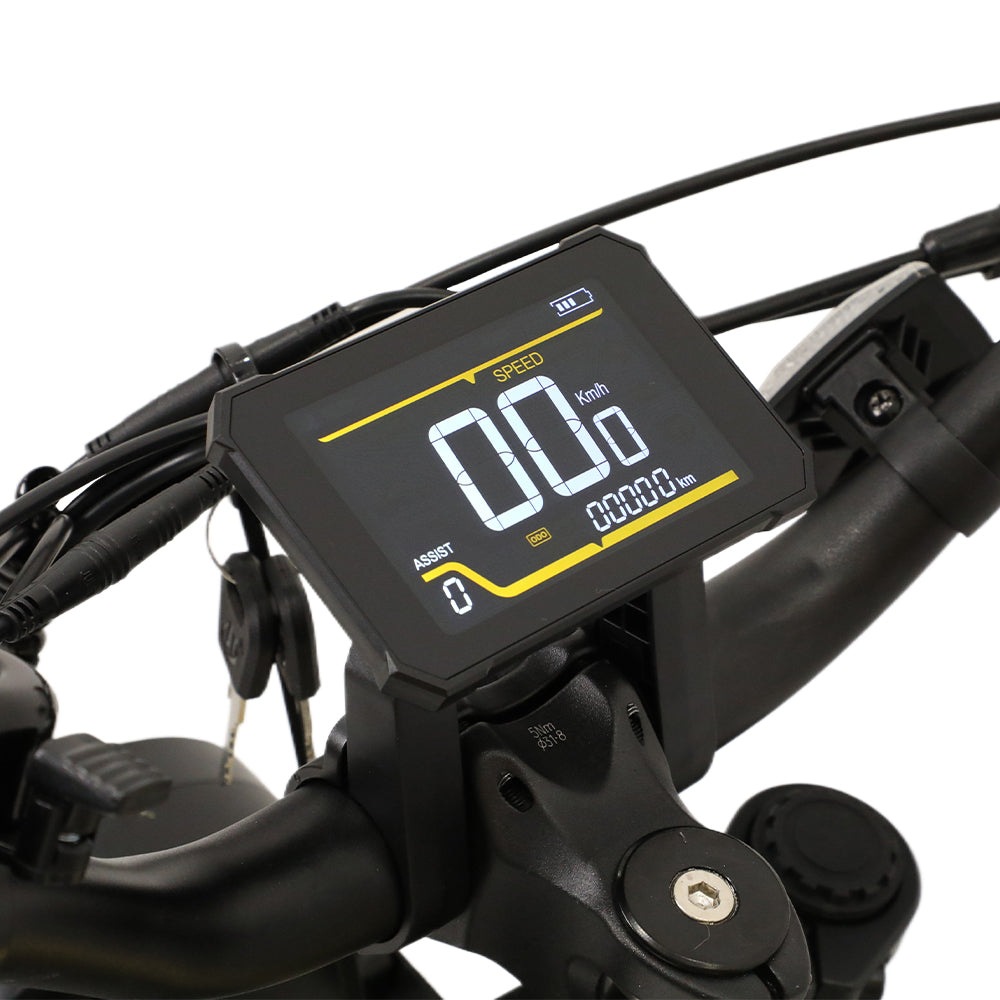 OneSport W66 Retro Moped Style 48V 250W 20×4.0" Fat Tires Full Suspension E-Bike