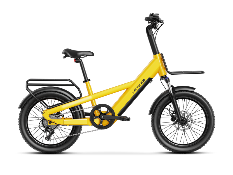 Heybike EC Compact Sport image 1