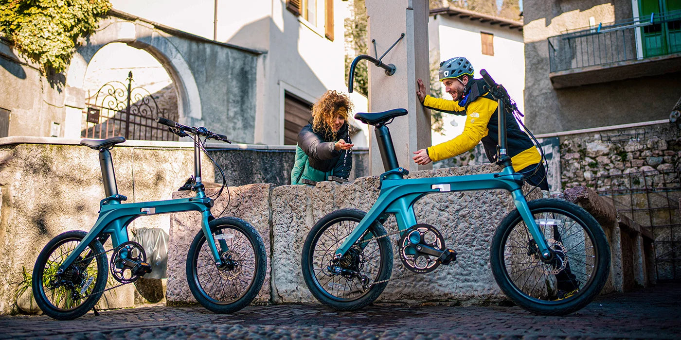 Fiido X Folding Electric Bike image 13