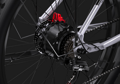 DUOTTS F26 Electric Bike image 14
