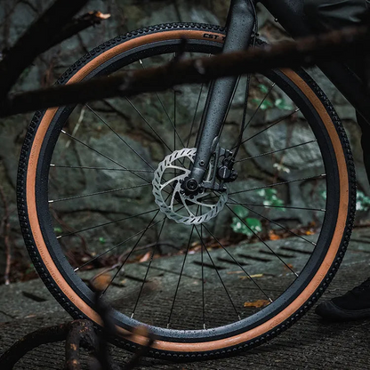 Fiido E-Gravel C21-Step Over Electric Bike image 11