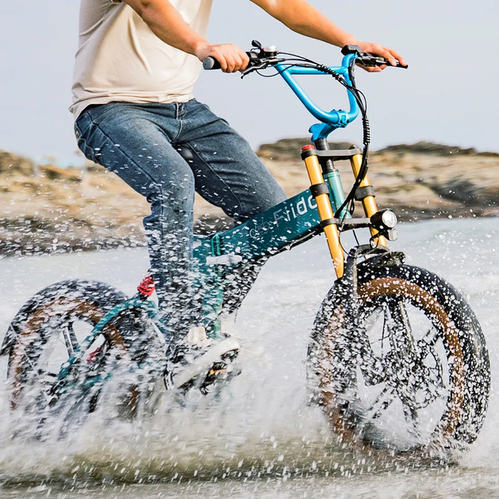 Fiido M1 Pro Electric Bike Upgraded Version image 8