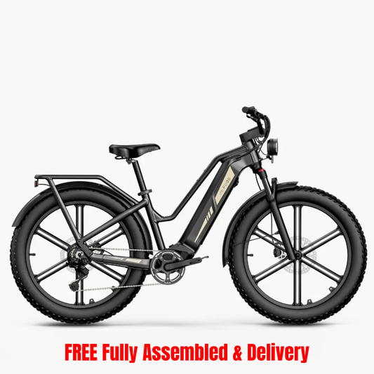 Fiido Titan All-Terrain 26" Fat-Tyre Electric Mountain Bike