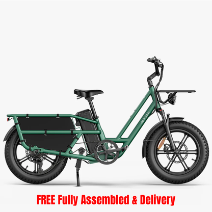 Fiido T2 Longtail Cargo E-bike
