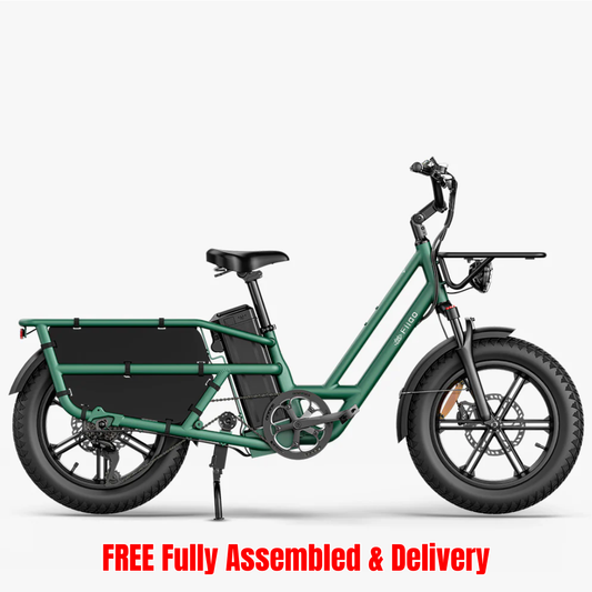 Fiido T2 Longtail Cargo E-bike