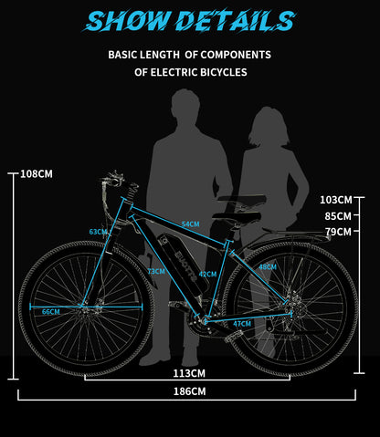 DUOTTS C29 Commuter 26.5kg Lightweight Electric Bike
