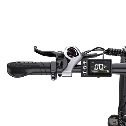 DUOTTS C29K Dual Battery (37.5Ah) Hydraulic Brakes 29" Wheels Electric Bike