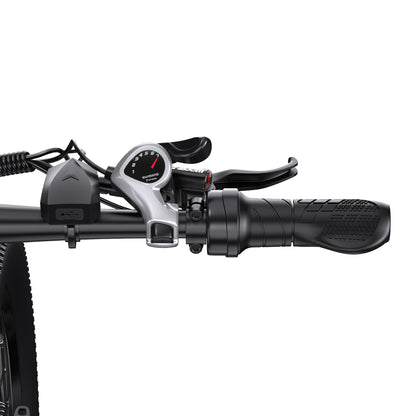 DUOTTS C29K Dual Battery (37.5Ah) Hydraulic Brakes 29" Wheels Electric Bike
