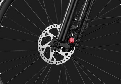 DUOTTS C29 Max Hydraulic Brakes Commuter Electric Bike