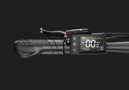 DUOTTS C29 Max Hydraulic Brakes Commuter Electric Bike