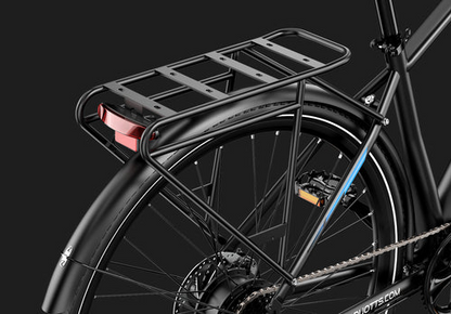 DUOTTS C29 Max Hydraulic Brakes Commuter Electric Bike