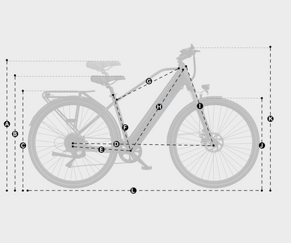 DUOTTS C29 Max Hydraulic Brakes Commuter Electric Bike