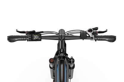 DUOTTS C29 Max Hydraulic Brakes Commuter Electric Bike