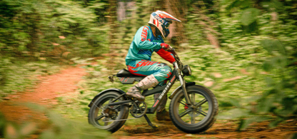 DUOTTS F20 Full-Suspension Fat-Tyre Moped-Style Electric Bike