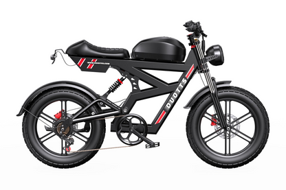 DUOTTS F20 Full-Suspension Fat-Tyre Moped-Style Electric Bike