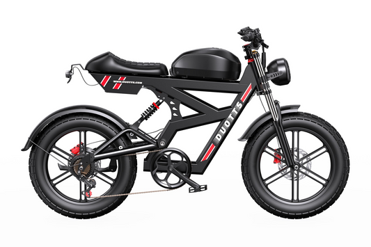 DUOTTS F20 Full-Suspension Fat-Tyre Moped-Style Electric Bike