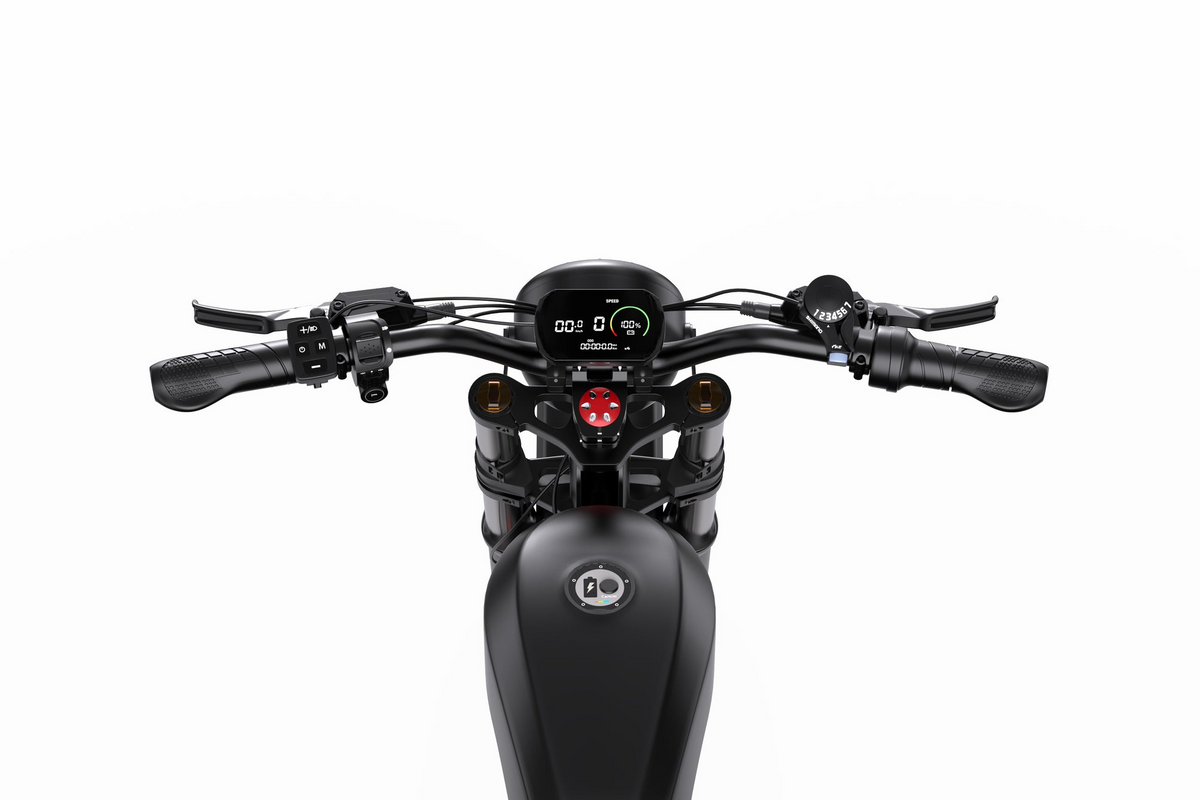 DUOTTS F20 Full-Suspension Fat-Tyre Moped-Style Electric Bike