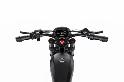 DUOTTS F20 Full-Suspension Fat-Tyre Moped-Style Electric Bike