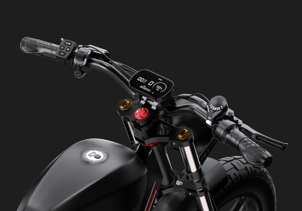 DUOTTS F20 Full-Suspension Fat-Tyre Moped-Style Electric Bike