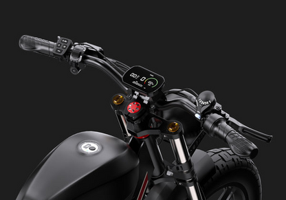 DUOTTS F20 Full-Suspension Fat-Tyre Moped-Style Electric Bike