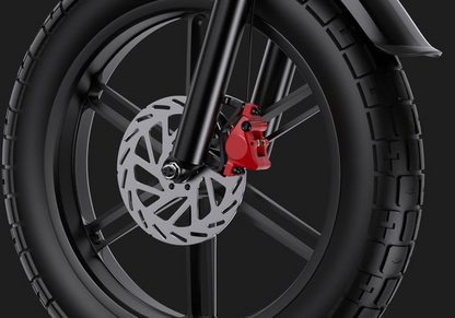 DUOTTS F20 Full-Suspension Fat-Tyre Moped-Style Electric Bike