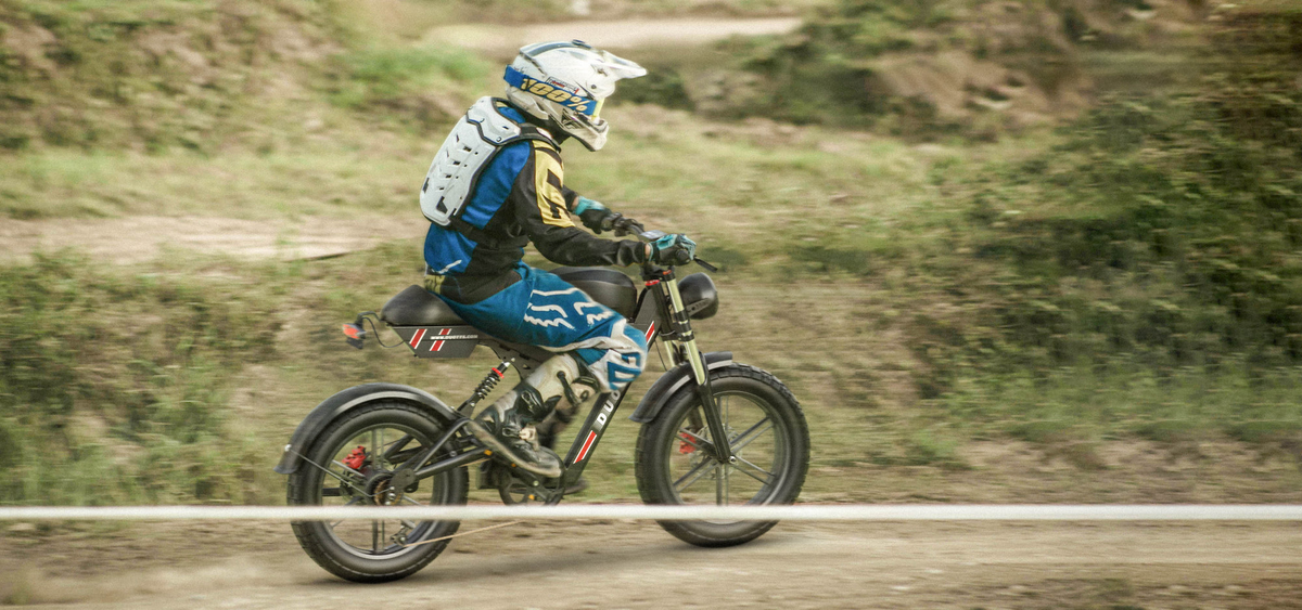 DUOTTS F20 Full-Suspension Fat-Tyre Moped-Style Electric Bike