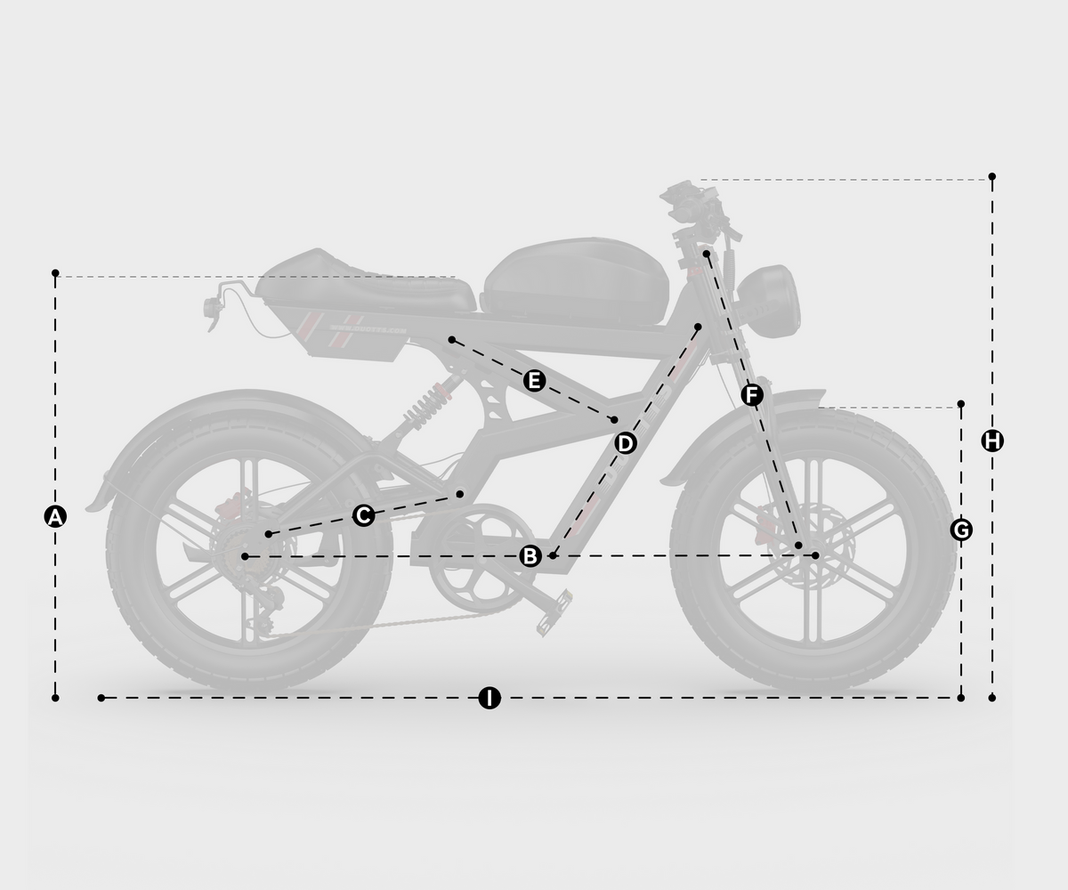 DUOTTS F20 Full-Suspension Fat-Tyre Moped-Style Electric Bike