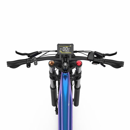 DUOTTS E26 Electric Bike