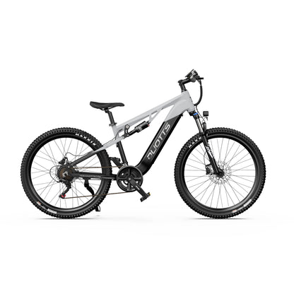 DUOTTS E29 Electric Bike