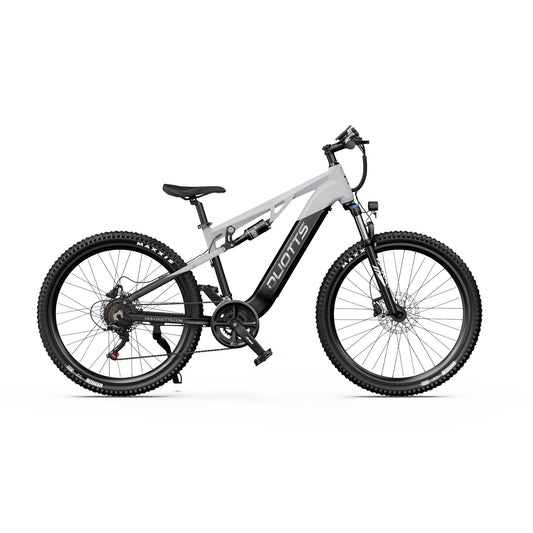 DUOTTS E29 Electric Bike