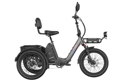 Fafrees F20 Mate II  Foldable E-trike