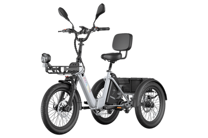 Fafrees F20 Mate II  Foldable E-trike