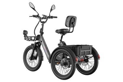 Fafrees F20 Mate II  Foldable E-trike