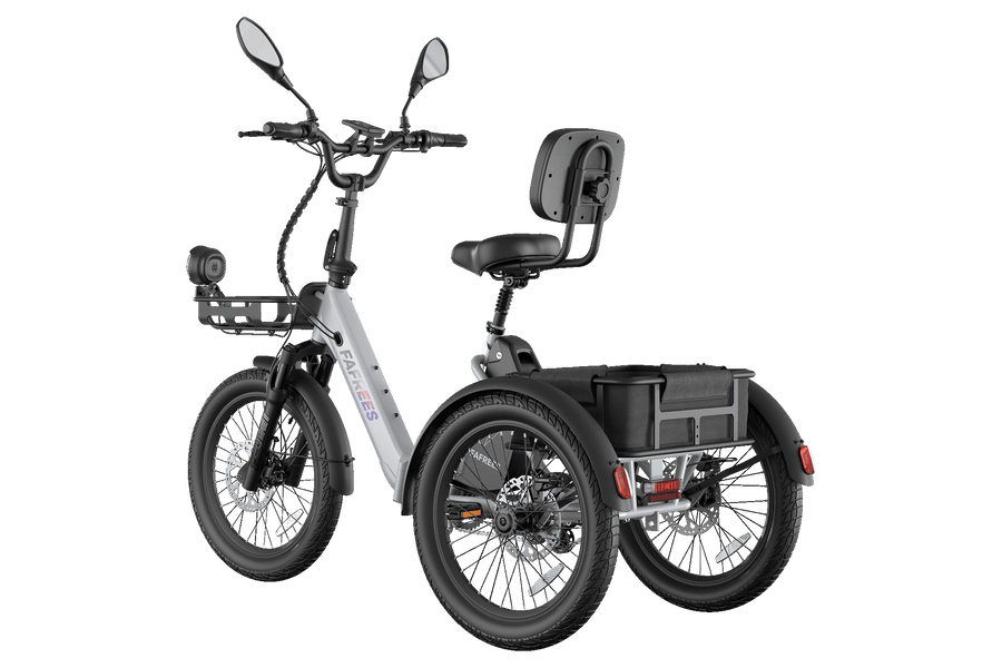 Fafrees F20 Mate II  Foldable E-trike