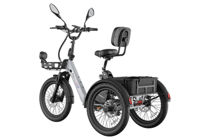 Fafrees F20 Mate II  Foldable E-trike
