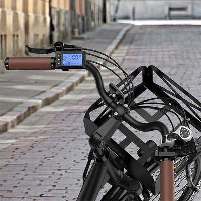 Fafrees F26 Lasting E-bike