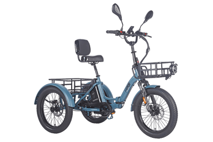 Fafrees F20 Mate HS Cargo E-Bike
