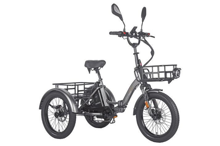 Fafrees F20 Mate HS Cargo E-Bike