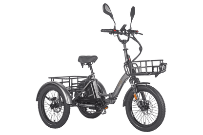 Fafrees F20 Mate HS Cargo E-Bike