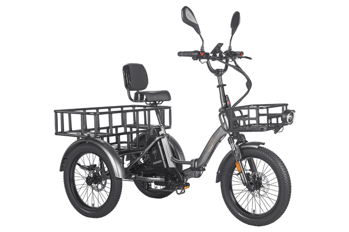 Fafrees F20 Mate HS Cargo E-Bike
