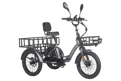 Fafrees F20 Mate HS Cargo E-Bike