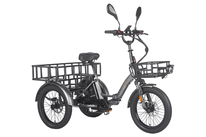 Fafrees F20 Mate HS Cargo E-Bike